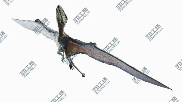 images/goods_img/20210312/Dimorphodon Animated 3D model/1.jpg